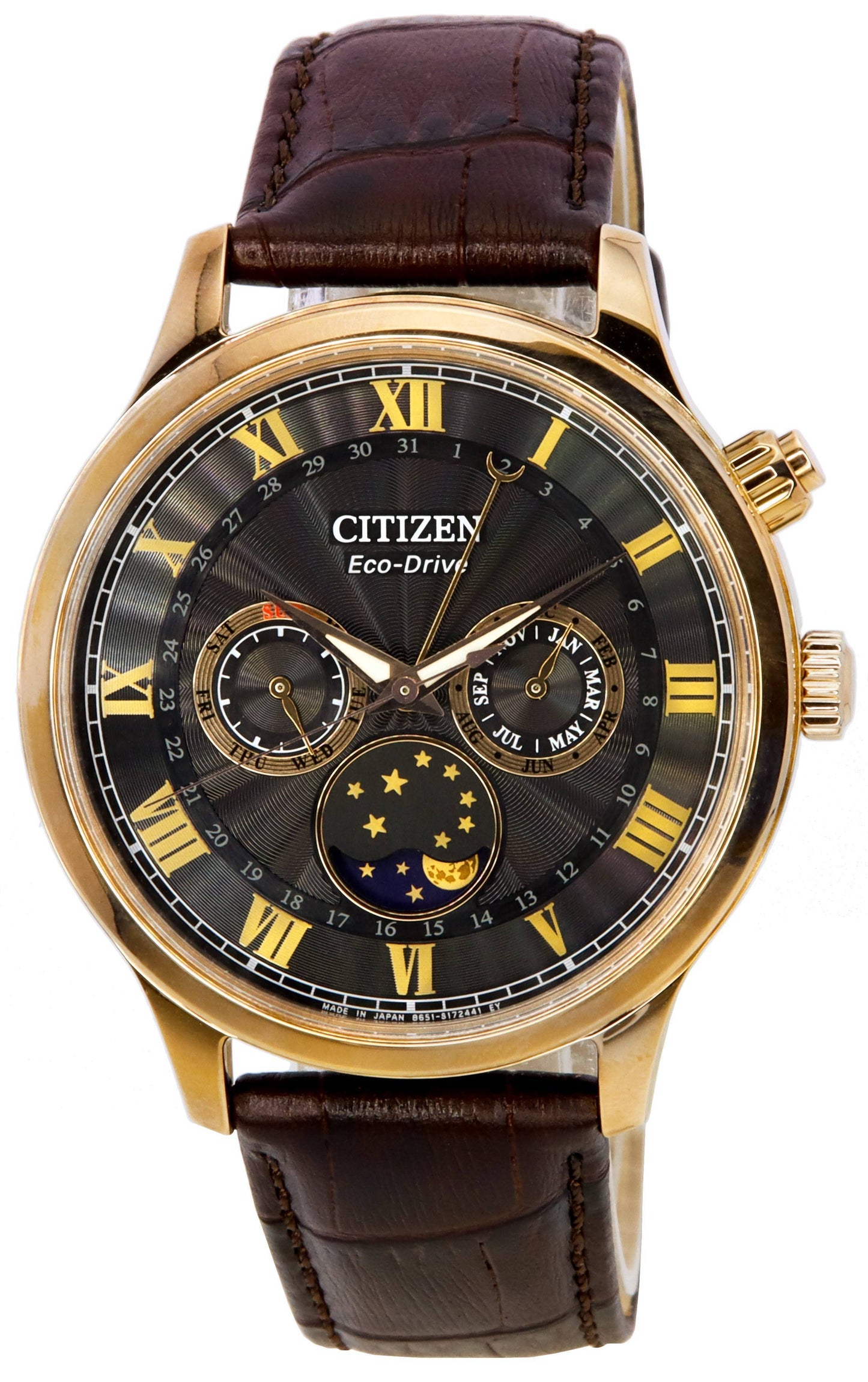 Citizen Eco-Drive Moon Phase Multifunction Black Dial AP1059-19E Men's Watch