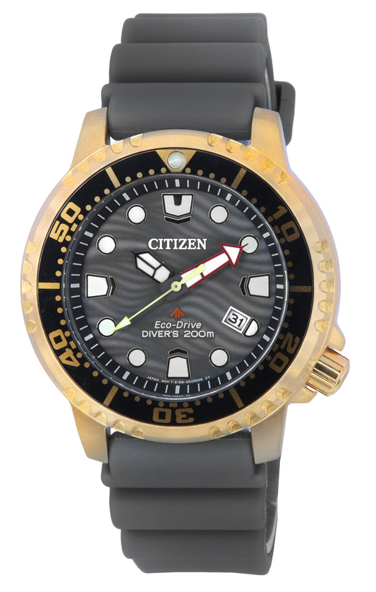 Citizen Promaster Gray Dial Eco-Drive Diver's BN0163-00H 200M Men's Watch