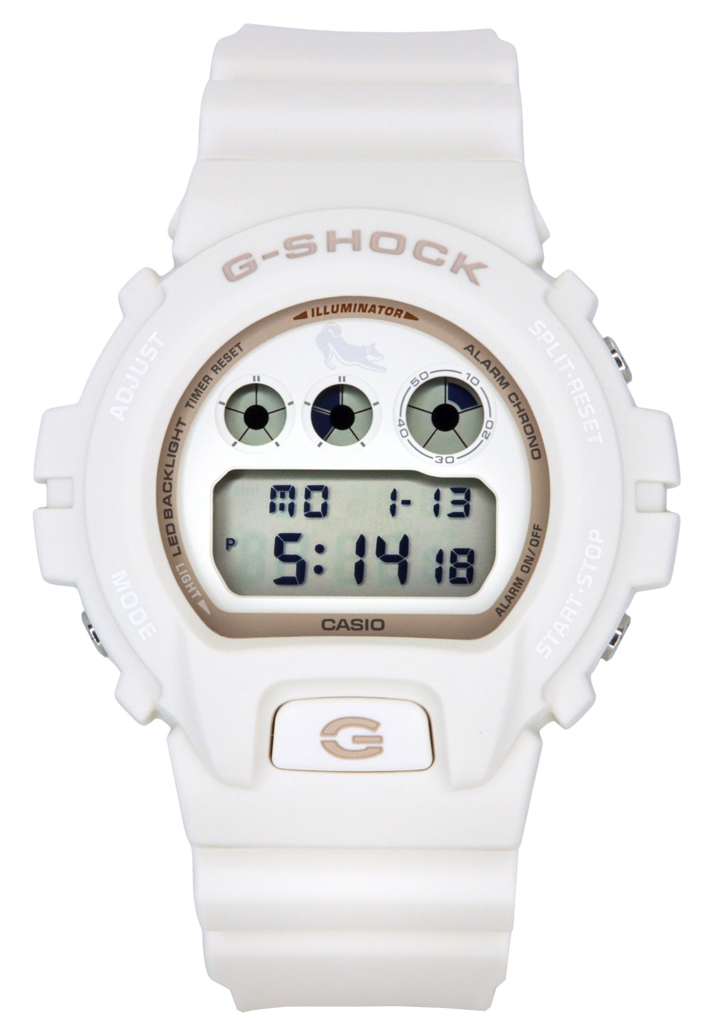 Casio G-Shock Digital The Shiba Inu Resin Strap Quartz DW-6900SHB-7 200M Men's Watch